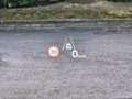 Kia Sorento 1.6 T-GDI PHEV Evolution AWD AT6 Blu/Azzurro - thumbnail 12