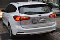 Ford Focus Cool 2.0 -Sound-Tempomat-DAB-AHK Weiß - thumbnail 17