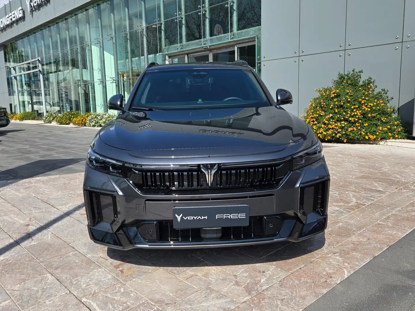 Voyah Free Rev 318 - 4WD Gris - 1