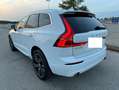 Volvo XC60 XC60 D3 Momentum Weiß - thumbnail 8