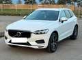 Volvo XC60 XC60 D3 Momentum Weiß - thumbnail 1