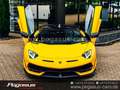 Lamborghini Aventador SVJ Roadster*COLLECTOR*CARBON*LIFT*PPF*20/21 Giallo - thumbnail 6