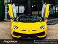 Lamborghini Aventador SVJ Roadster*COLLECTOR*CARBON*LIFT*PPF*20/21 Giallo - thumbnail 9