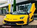 Lamborghini Aventador SVJ Roadster*COLLECTOR*CARBON*LIFT*PPF*20/21 Giallo - thumbnail 10