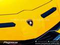 Lamborghini Aventador SVJ Roadster*COLLECTOR*CARBON*LIFT*PPF*20/21 Giallo - thumbnail 12