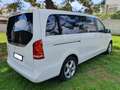 Mercedes-Benz V 250 250d Extralargo Avantgarde 7GT Bianco - thumbnail 7