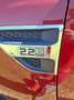 Ford Ranger Ranger Doppelkabine Limited 4x4 2,2 TDCi Limited Rot - thumbnail 12