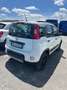 Fiat Panda Panda 0.9 t.air t. 4x4 s Bianco - thumbnail 4