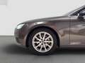 Audi A4 Avant 2.0 TDI 190 CV Design Marrone - thumbnail 8