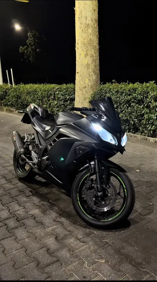 Kawasaki Ninja 300