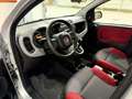 Fiat Panda AUTOMATICA!!! Lounge + Neo Patentati ! Gris - thumbnail 10