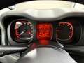 Fiat Panda AUTOMATICA!!! Lounge + Neo Patentati ! Gris - thumbnail 19