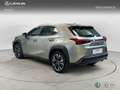 Lexus UX 200 PREMIUM 2.0 Híbrido Gasolina Transmisión Autom Gris - thumbnail 2