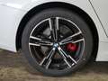 BMW 318 i T.M Sport Pro FACELIFT Kamera KomfZ.H/K 18" Weiß - thumbnail 6