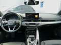 Audi A4 Avant 35 TFSI Leder SHZ Navi LED 5.Jahre Gar. Gris - thumbnail 19