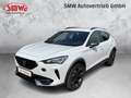 CUPRA Formentor 1.5 TSI 150PS DSG VOLL-LED Weiß - thumbnail 6