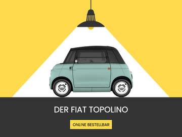 ❗️ Lieferung innerhalb 10 Wochen❗️