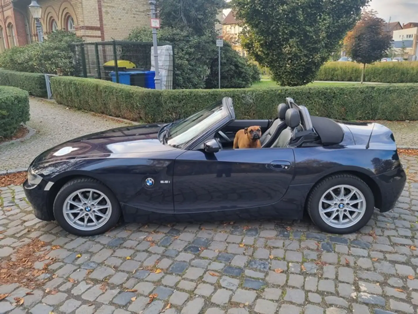 BMW Z4 Cabrio 2.5i,Leder,Business,Garanti,1A Zustand Mavi - 1