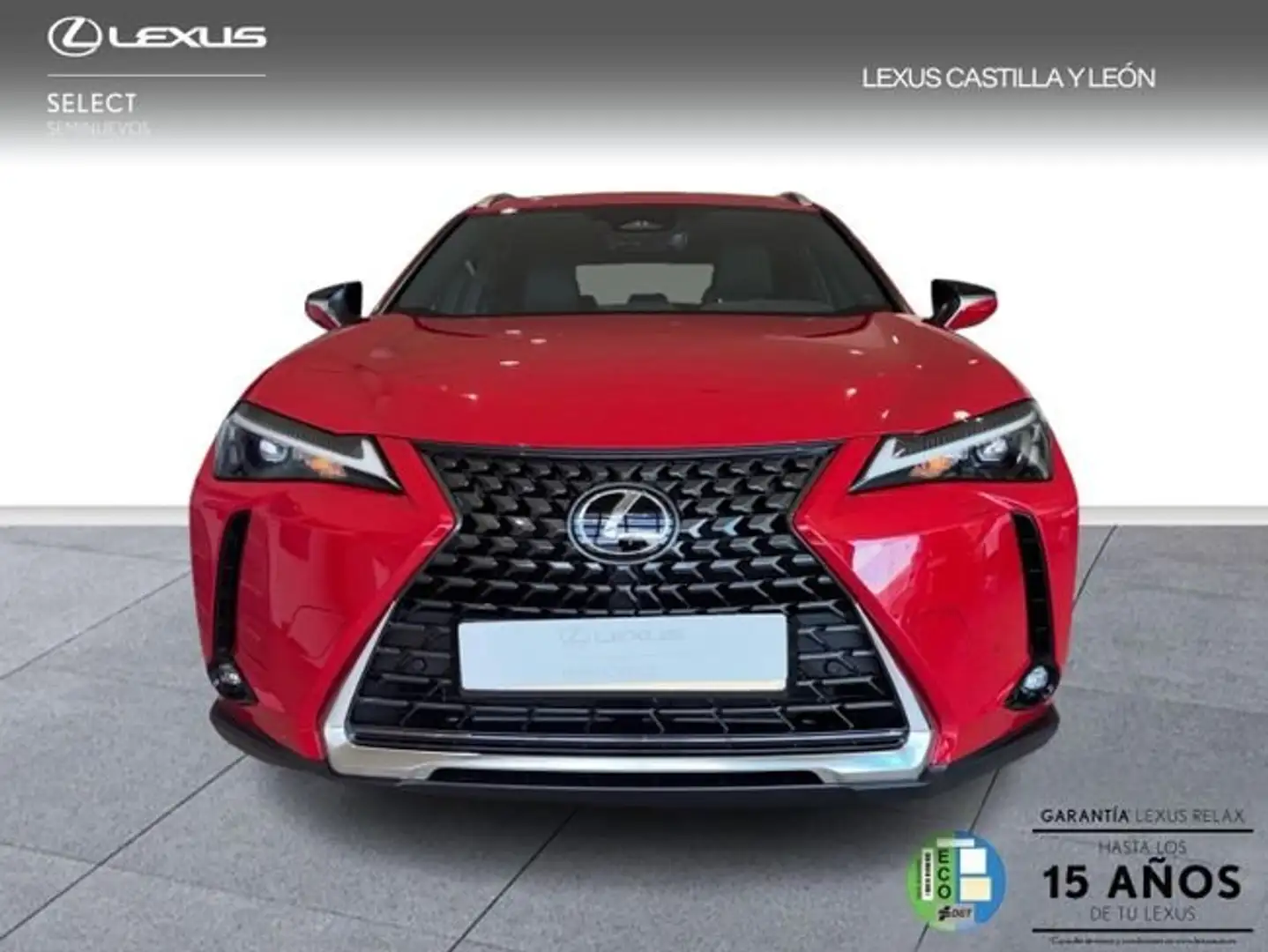 Lexus UX 300h + Rot - 2