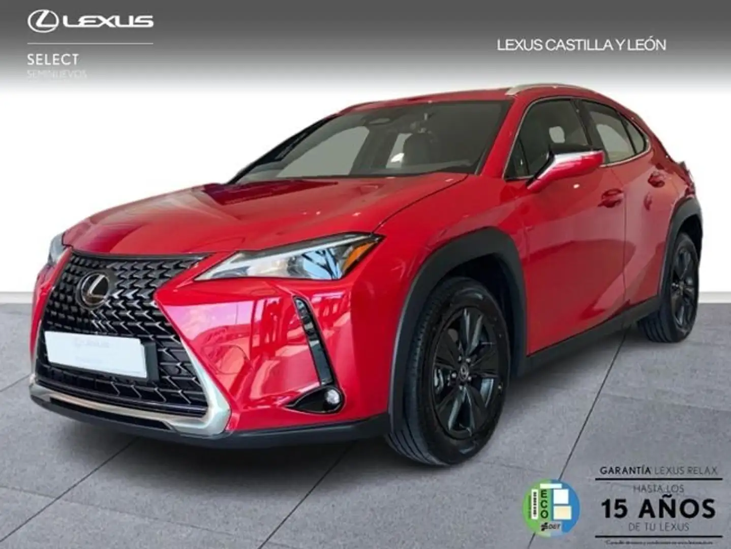Lexus UX 300h + Rot - 1
