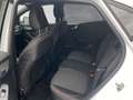 Ford Puma ST-Line Weiß - thumbnail 10