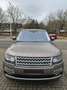 Land Rover Range Rover Range Rover V8 Supercharged Autobiography Beige - thumbnail 2