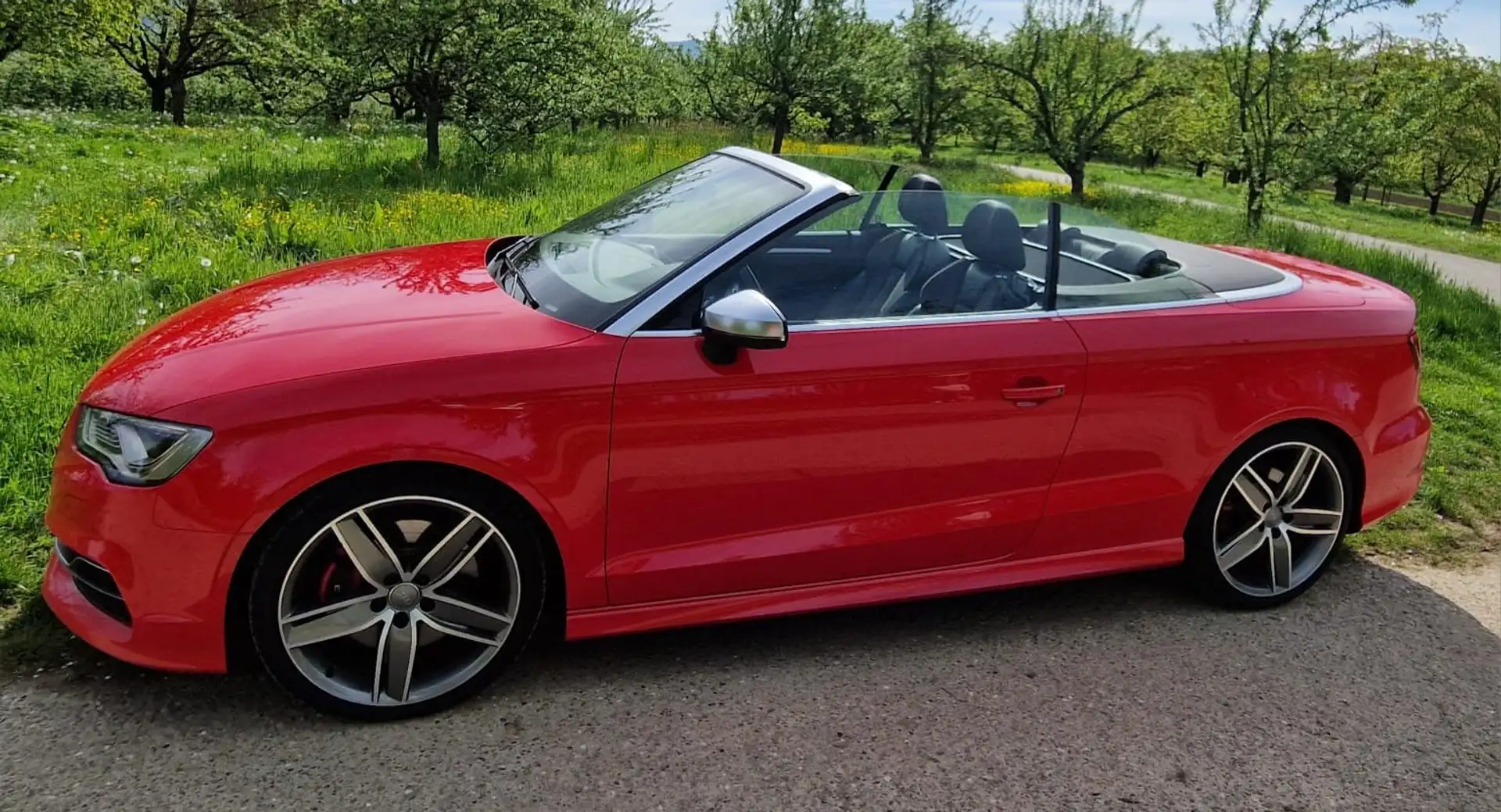 Audi S3 A3 Cabrio Cabrio S tronic Roşu - 2