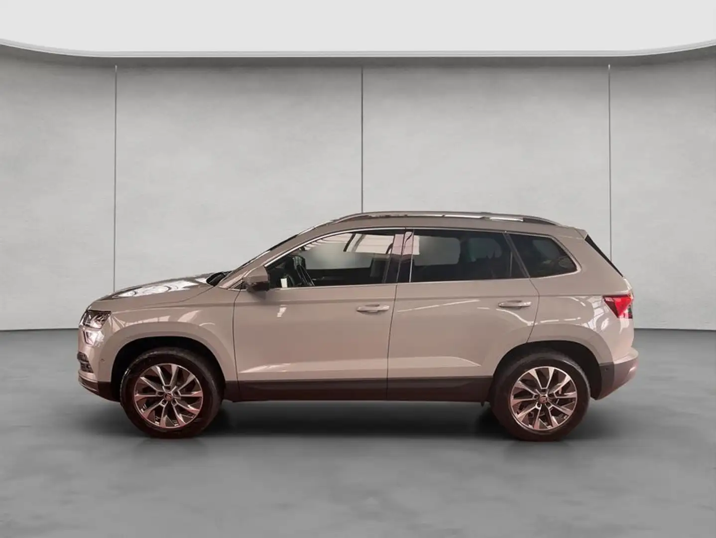 Skoda Karoq 2.0 TDI SCR 4x4 DSG Standheizung AHK Gris - 2