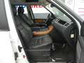 Land Rover Range Rover Sport Sport 3.0 TdV6 HSE - thumbnail 13