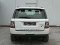 Land Rover Range Rover Sport Sport 3.0 TdV6 HSE - thumbnail 5