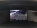 Ford Focus Focus *XENON / NAVI / TEMPOMAT / KAMERA / SPORTSITZE MIT HEIZUNG / 2-ZONEN-KLIMA* Schwarz - thumbnail 4