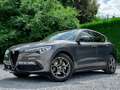 Alfa Romeo Stelvio 2.2 MJD Super / Carplay / CAMERA / EL. SEATS Gris - thumbnail 3