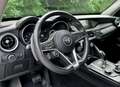 Alfa Romeo Stelvio 2.2 MJD Super / Carplay / CAMERA / EL. SEATS Gris - thumbnail 19