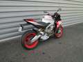 Aprilia Tuono Blanc - thumbnail 3