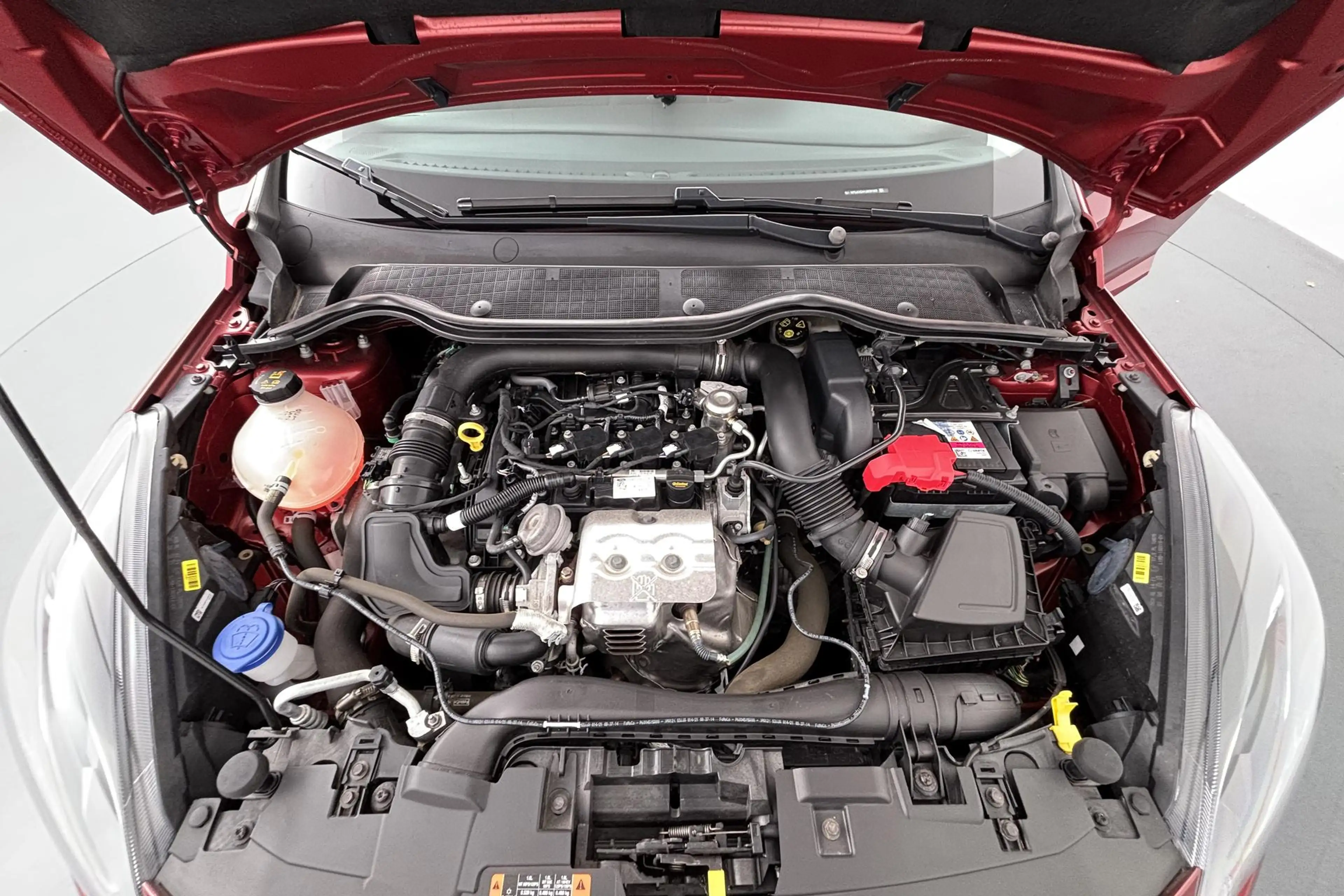 Ford Fiesta 1.0 EcoBoost Titanium Nagenoeg nieuw en verrassend — photo 11