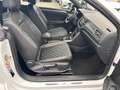 Volkswagen T-Roc Cabriolet R-Line 1,5 TSI DSG,NAVI Weiß - thumbnail 13
