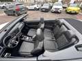 Volkswagen T-Roc Cabriolet R-Line 1,5 TSI DSG,NAVI Weiß - thumbnail 14