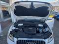 Audi Q5 2.0 TDI S-tronic quattro Blanc - thumbnail 13