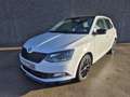 Skoda Fabia 1.4 CR TDi Monte Carlo//GPS//CLIM/USB/GARANTIE Wit - thumbnail 3