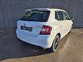 Skoda Fabia 1.4 CR TDi Monte Carlo//GPS//CLIM/USB/GARANTIE Wit - thumbnail 6
