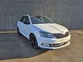 Skoda Fabia 1.4 CR TDi Monte Carlo//GPS//CLIM/USB/GARANTIE Wit - thumbnail 1
