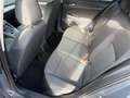 Volkswagen Golf Basis *ERSTBESITZ *RFK *PARKSENSOR Grau - thumbnail 13