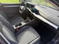 Volkswagen Golf Basis *ERSTBESITZ *RFK *PARKSENSOR Grau - thumbnail 14