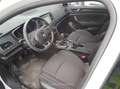 Renault Megane Business Blue dCi 81 kW (115CV) - thumbnail 7