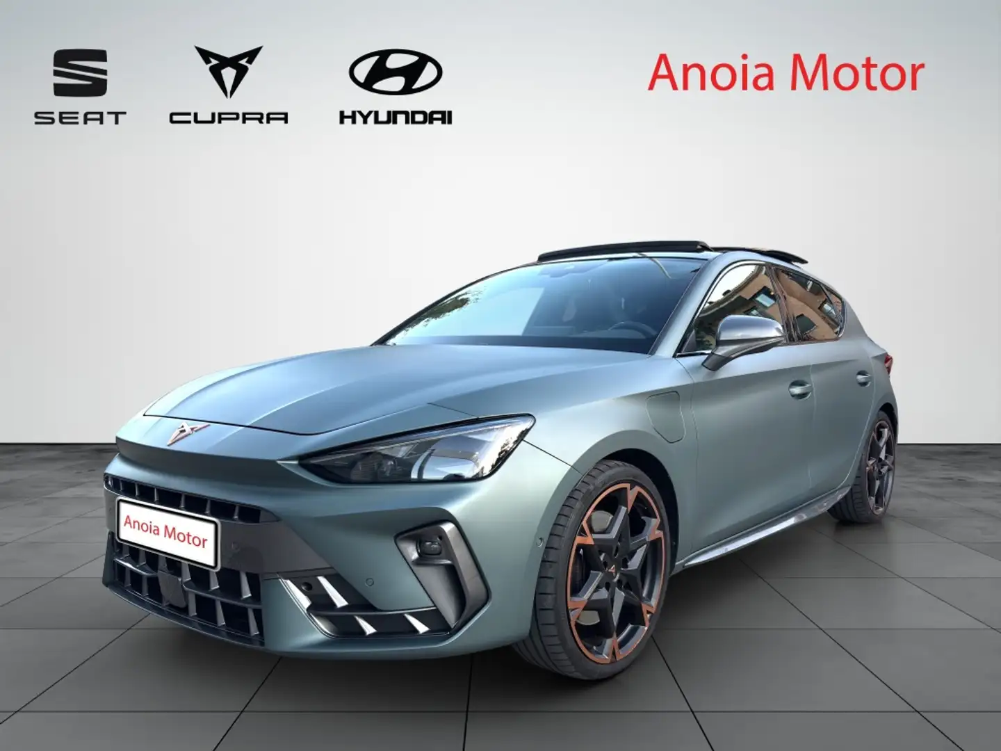 CUPRA Leon VZ Extreme 1.5 TSI e-Hybrid 200kW DSG Gris - 1