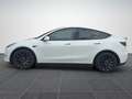 Tesla Model Y Perf.*AHV*GARANTIE* Weiß - thumbnail 6