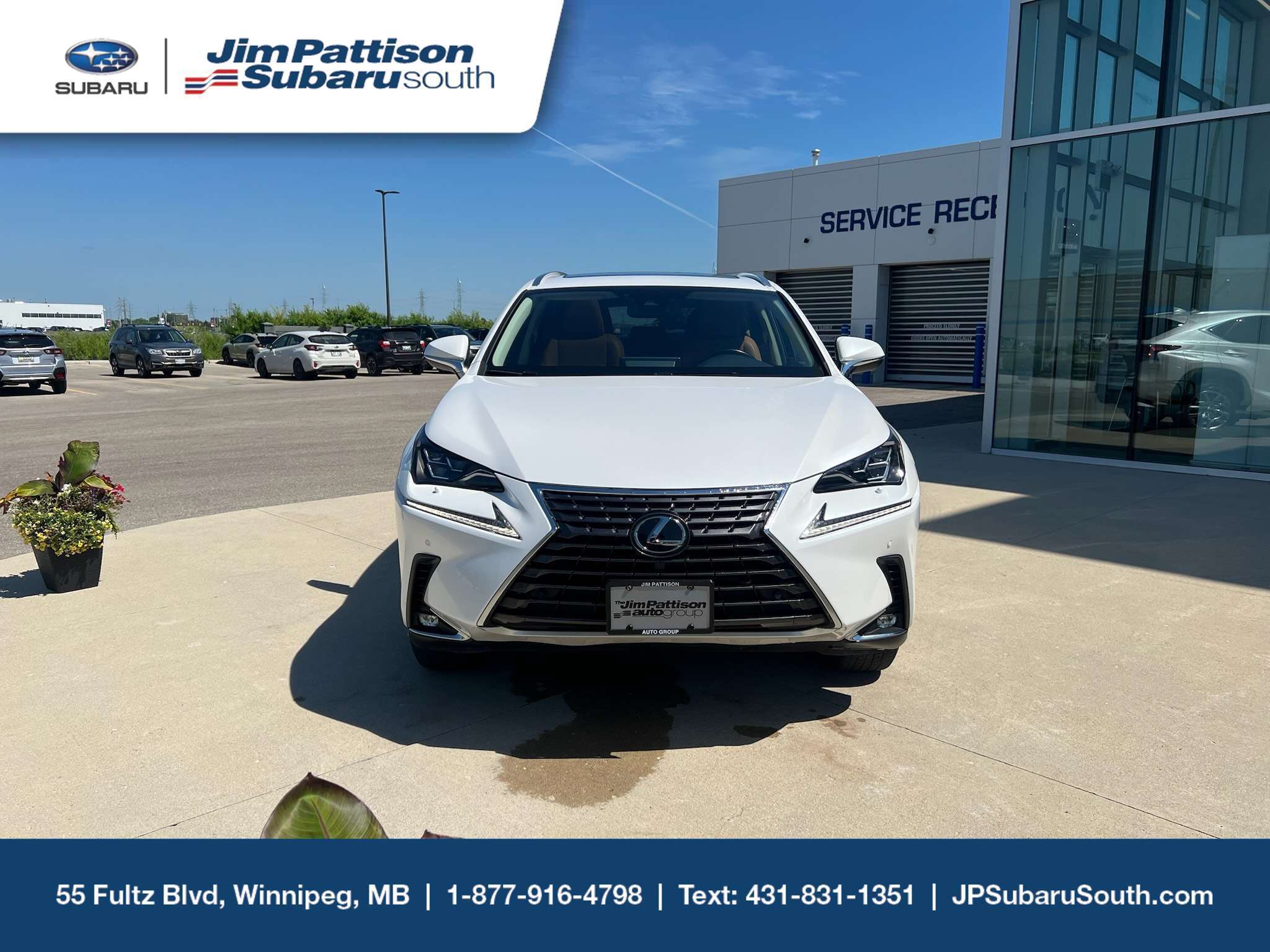 2021 Lexus NX 300 Luxury AWD