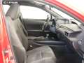 Lexus UX 250h BUSINESS AUTO 2.0 184 5P Rosso - thumbnail 6