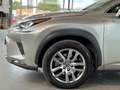 Lexus NX 300h NX 300h E-FOUR Business Line AWD Gris - thumbnail 8