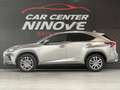 Lexus NX 300h NX 300h E-FOUR Business Line AWD Gris - thumbnail 2